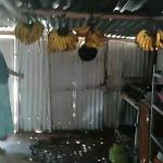 Saudara Bupati Aceh Selatan Tempati Rumah Tak Layak Huni