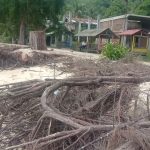 Pemkab Aceh Selatan Diminta Tangani Abrasi Pantai Batee Tunggai