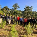 Personil Gabungan Korem 012/Teuku Umar Berhasil Temukan Ladang Ganja 8,9 Hektar