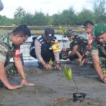 Kodim 0107/Aceh Selatan Kembali Tanam Mangrove di Pasie Raja