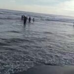 Terseret Ombak di Perairan Aceh Selatan Seorang Warga ditemukan Meninggal