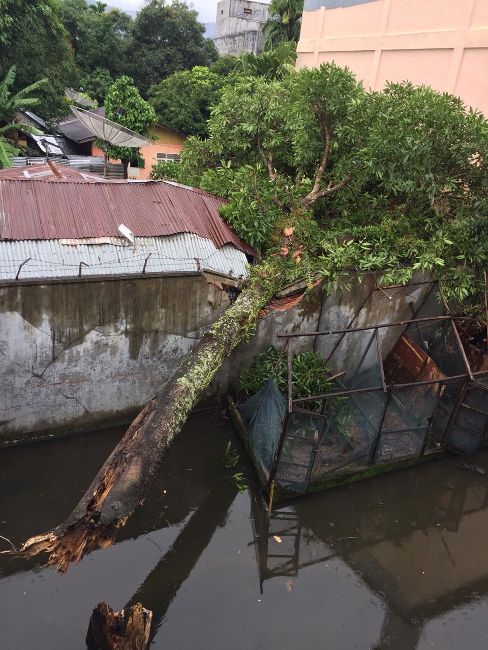 Satu Unit Rumah Rusak Berat Ditimpa Pohon Tumbang di Abdya