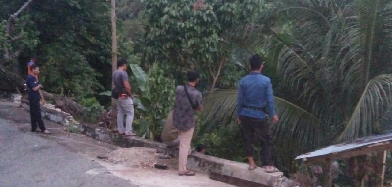 Harimau Masuk Kota Tapaktuan, Kalak BPBD Aceh Selatan : Telah Diusir Dengan Mercon