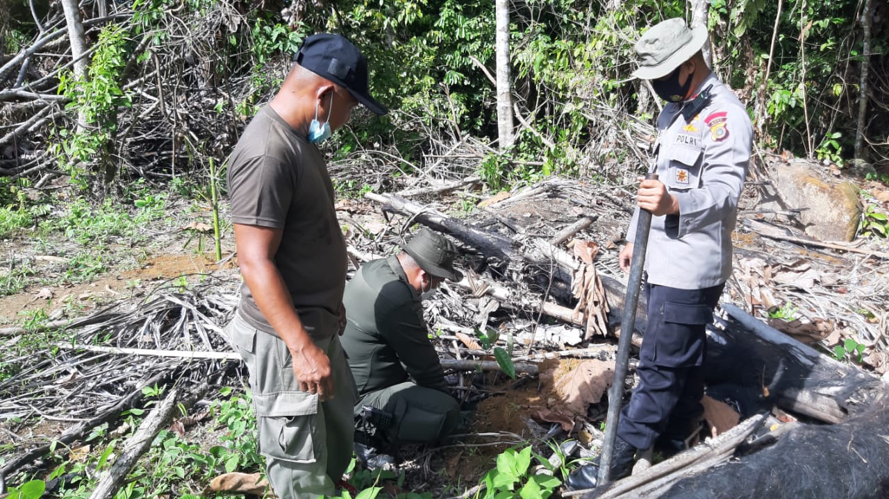 Pastikan Sumber Air Terpelihara, Brimob Aceh dan Pihak Kehutanan Lakukan Reboisasi