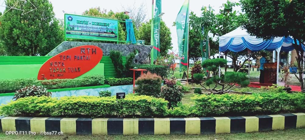 RTH Taman Pala Indah Tapaktuan Diduga Tanpa DED dan Amdal