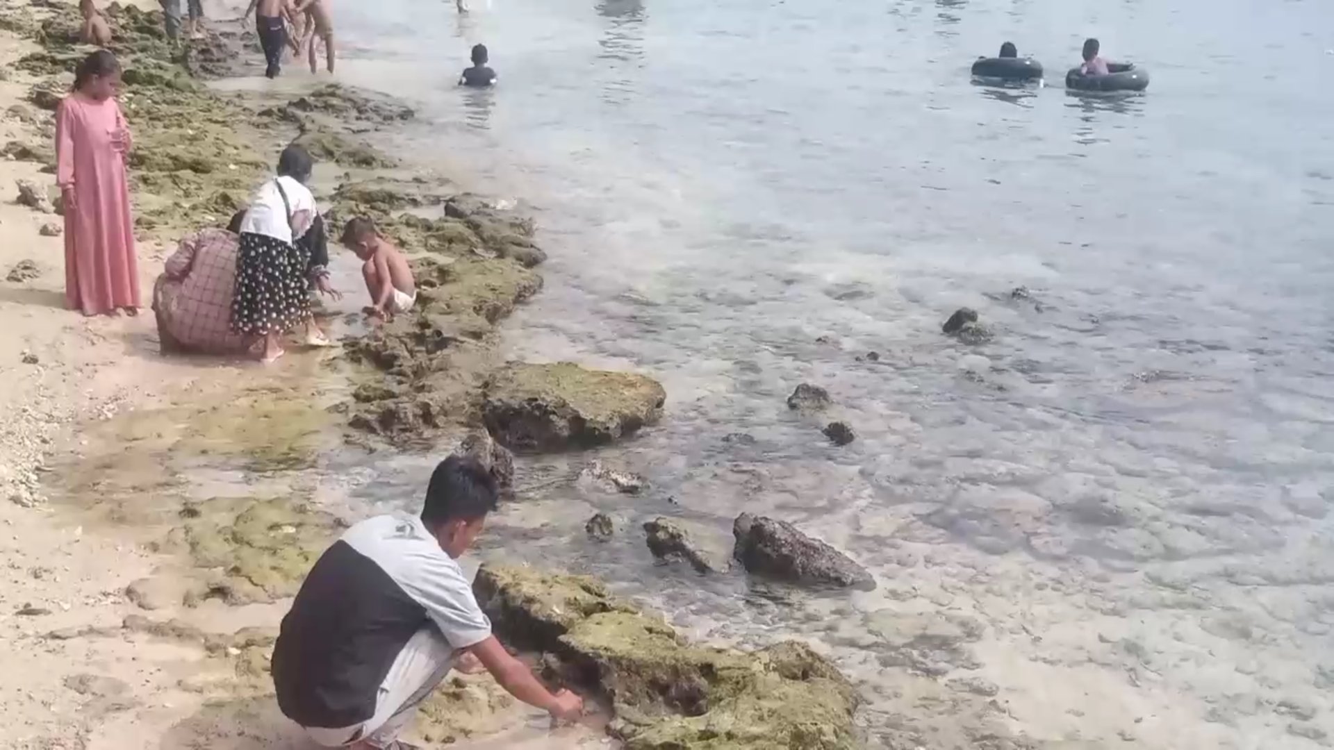 Berburu Ikan Hias Di Objek Wisata Pantai Pasir Putih