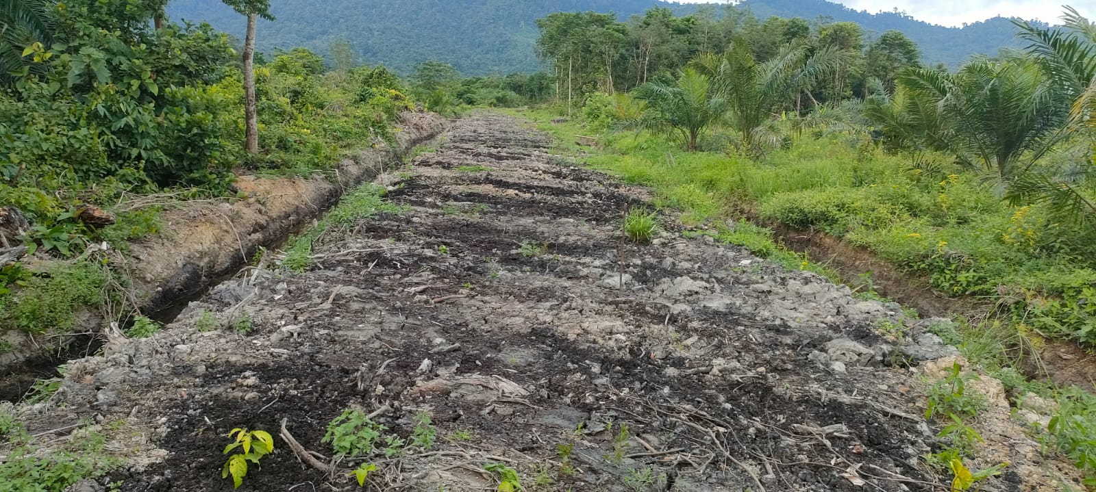 Proyek Jalan Tani  Pokir Anggota DPRA di Ie Jeurueneh Diduga Dikerjakan Asal Jadi