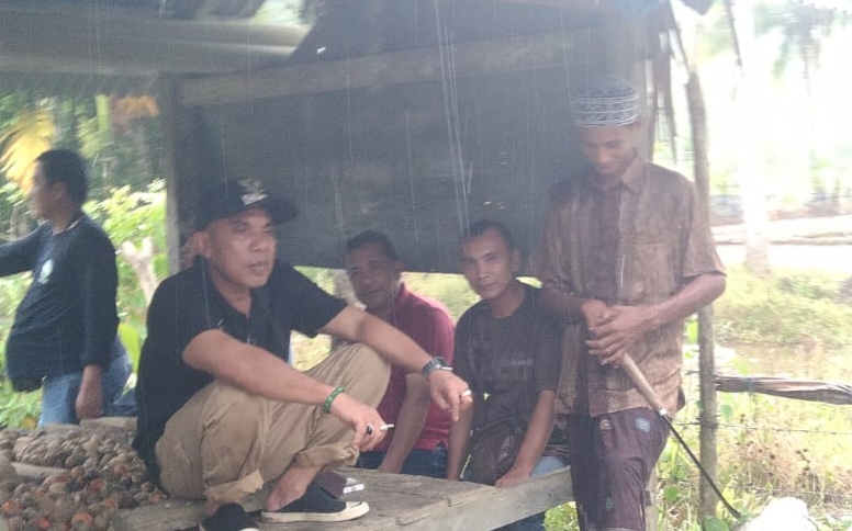 Camat Sawang Tinjau Persiapan Tanam Padi Serentak di Gampong Panton Luas