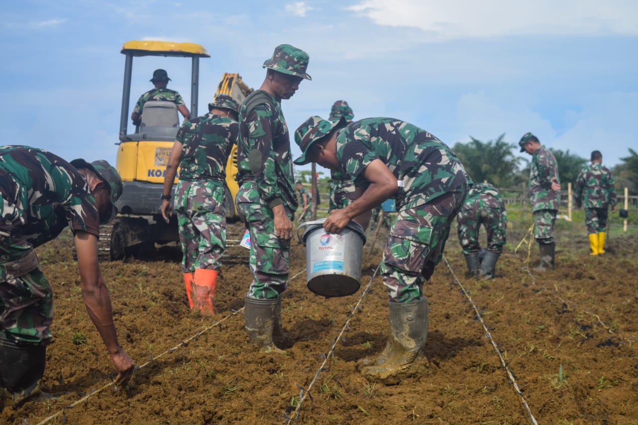 Dandim 0107/Asel Pimpin Penanaman Jagung di Lahan Hanpangan Pasie Raja
