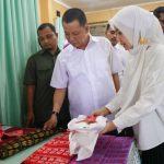 Pj Gubernur Aceh Puji Hasil Kerajinan Khas Aceh Singkil Dan Keindahan Alamnya