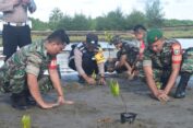 Kodim 0107/Aceh Selatan Kembali Tanam Mangrove di Pasie Raja