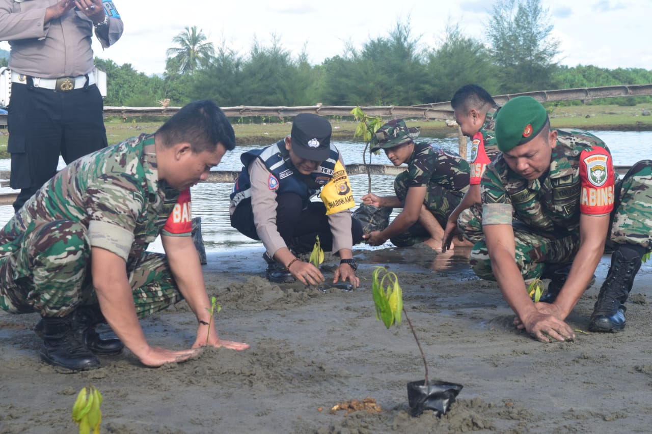 Kodim 0107/Aceh Selatan Kembali Tanam Mangrove di Pasie Raja