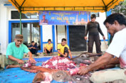 Syahbandar Tapaktuan Bagikan Daging Qurban