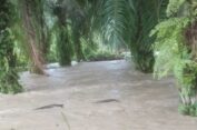 8 Kecamatan di Aceh Utara Terendam Banjir Akibat Intensitas Hujan Yang Tinggi