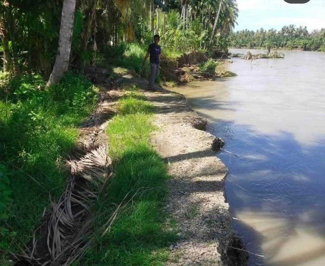 Abrasi Sungai di Gampong Pulo Ie Semakin Parah