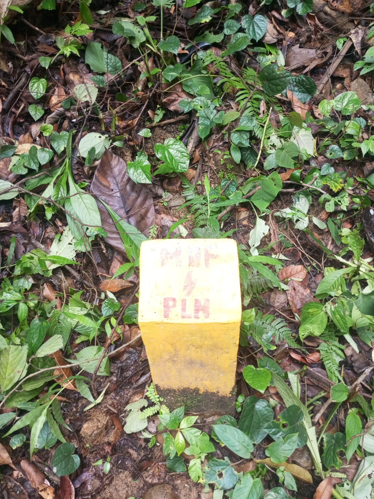 Pemasangan Kabel SKTM 20 Kv Milik Perusahan Dieka Pratama Putra Tahun 2023 Diduga Tidak Sesuai Spesifikasi