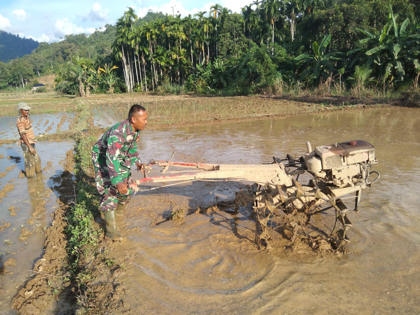 Dukung Ketahanan Pangan, Babinsa Kodim 0107/Aceh Selatan Turun ke Sawah Bantu Petani