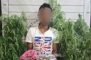 Sat Resnarkoba Polres Aceh Selatan Musnahkan Ladang Ganja dan amankan seorang terduga Pelaku.