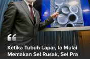 Apa Yang Terjadi Ketika Tubuh Kita Mulai Lapar ?