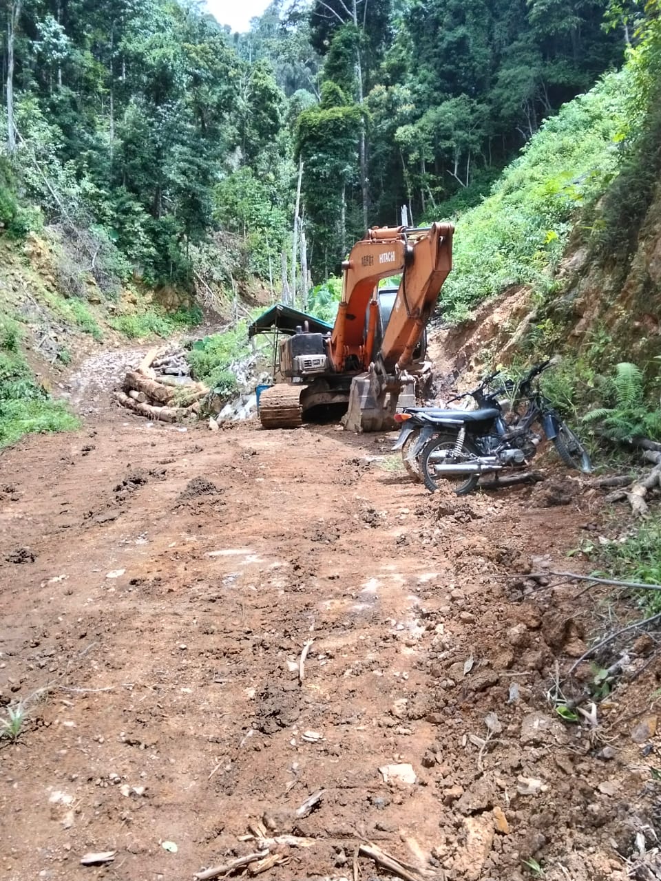 Perambahan Hutan Besar-Besaran Terjadi di Kecamatan Kluet Tengah Aceh Selatan,  APH di Minta Bertindak