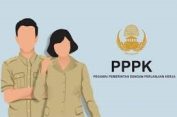 Berikut Jadwal Tes PPPK 2024 Tahap 2, Segera Cetak Kartu