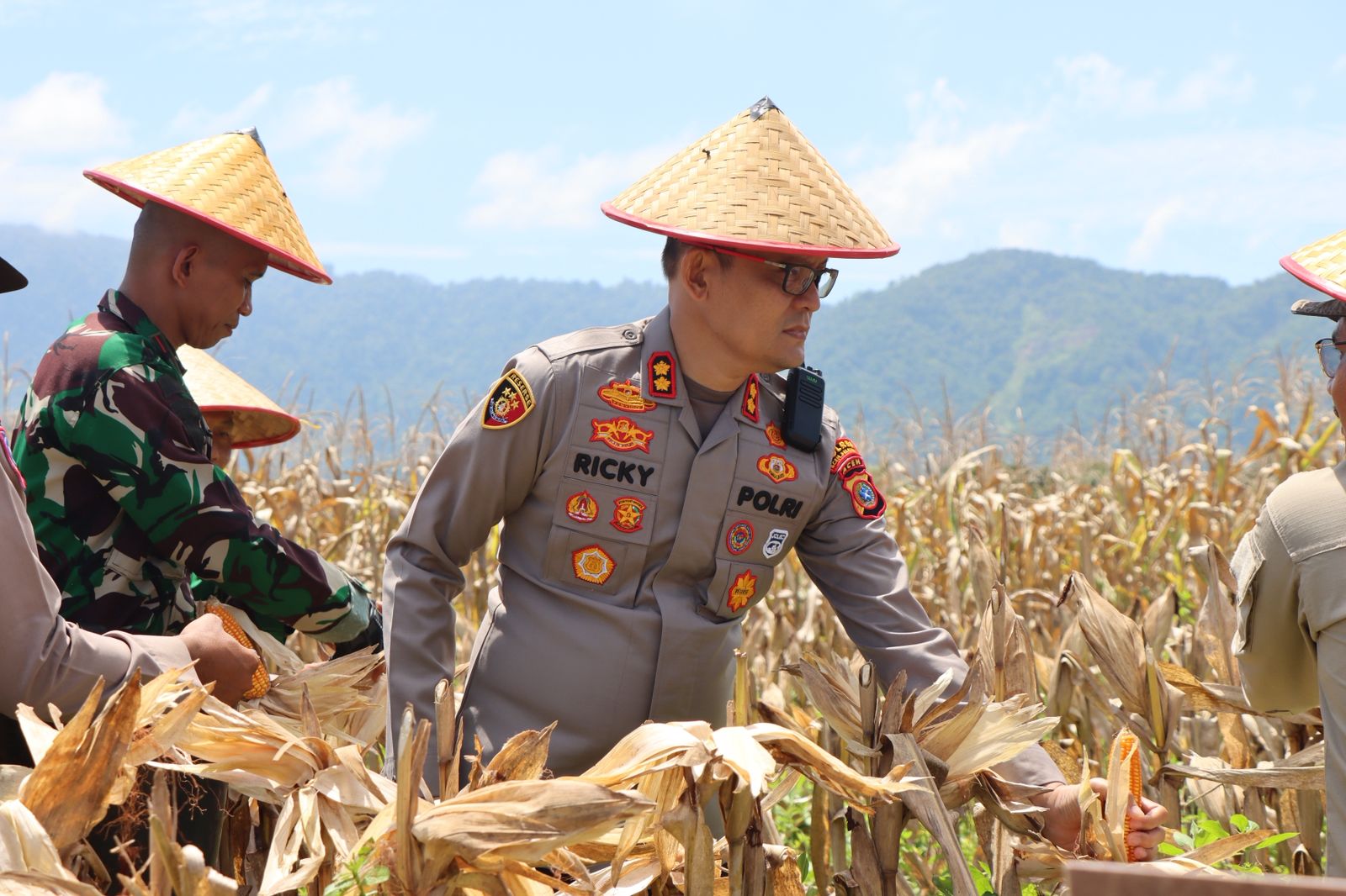 Polres Aceh Selatan Kembali Melakukan Panen Raya Jagung Dukung Ketahanan Pangan Nasional