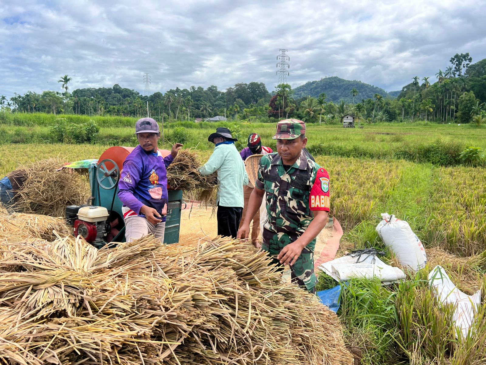 ‎Babinsa 02/Lateng Dampingi Petani Panen Padi di Wilayahnya, Dorong Produktivitas Pertanian Lokal‎
