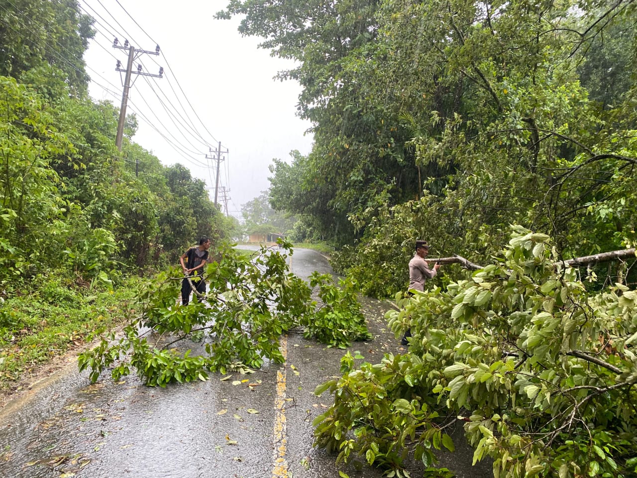 Personel Polres Aceh Selatan Tanggap, Dua Lokasi Pohon Tumbang di Aceh Selatan Cepat Ditangani