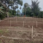 Kelompok Wanita Tani Gampong Ladang Kecamatan Samatiga Aceh Barat Melakukan Persiapan Tanam Bawang Merah