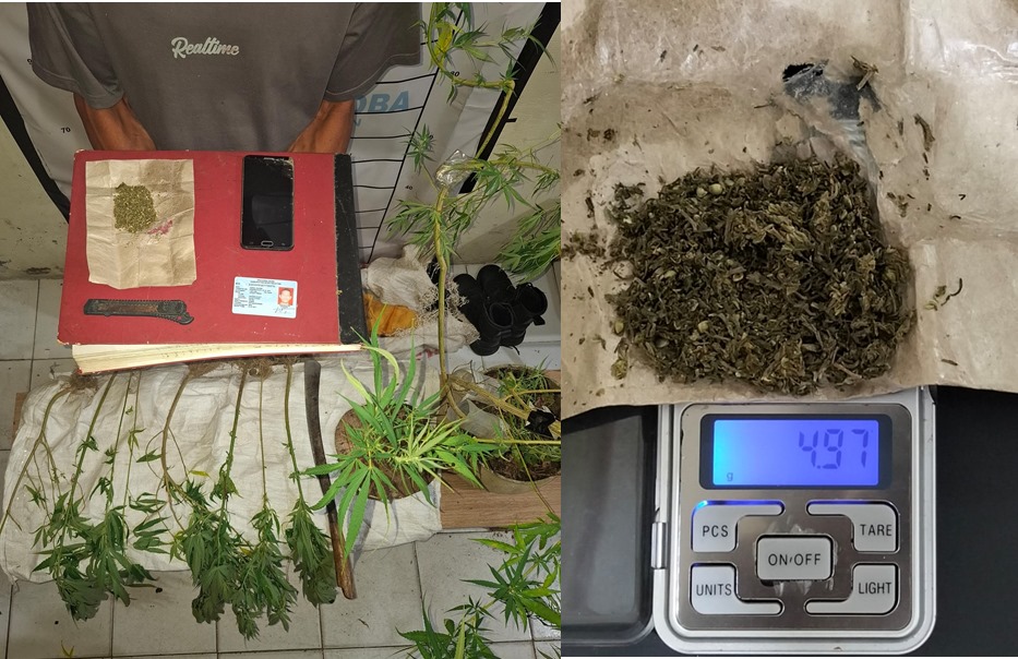 Satresnarkoba Polres Aceh Selatan Tangkap Petani Miliki Ganja di Kluet Utara
