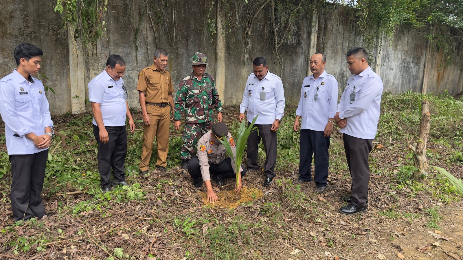 Polsek Kluet Utara Bersama Forkopimcam Dukung Penanaman 5.000 Pohon Kelapa untuk Ketahanan Pangan Nasional
