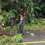 ‎Kerja Cepat Koramil 05/Samadua Bersama Warga Bersihkan Pohon Tumbang di Ujung Tanah