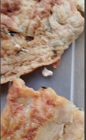 T. Sukandi: Belatung Di Menu Makan Santri MUQ Aceh Selatan Adalah Golongan Ulat Mayat dan Ulat Bangkai