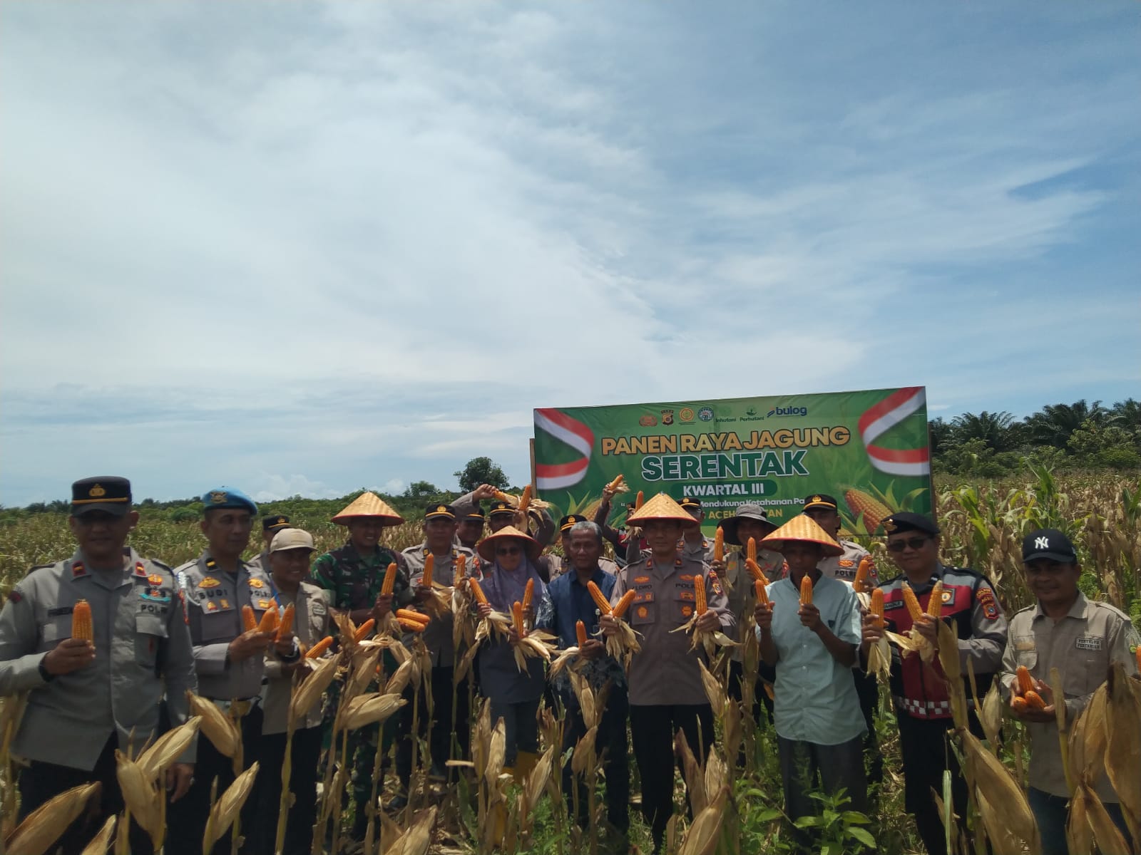 Polres Aceh Selatan Gelar Panen Raya Jagung Serentak Kuartal III, Dukung Ketahanan Pangan Nasional