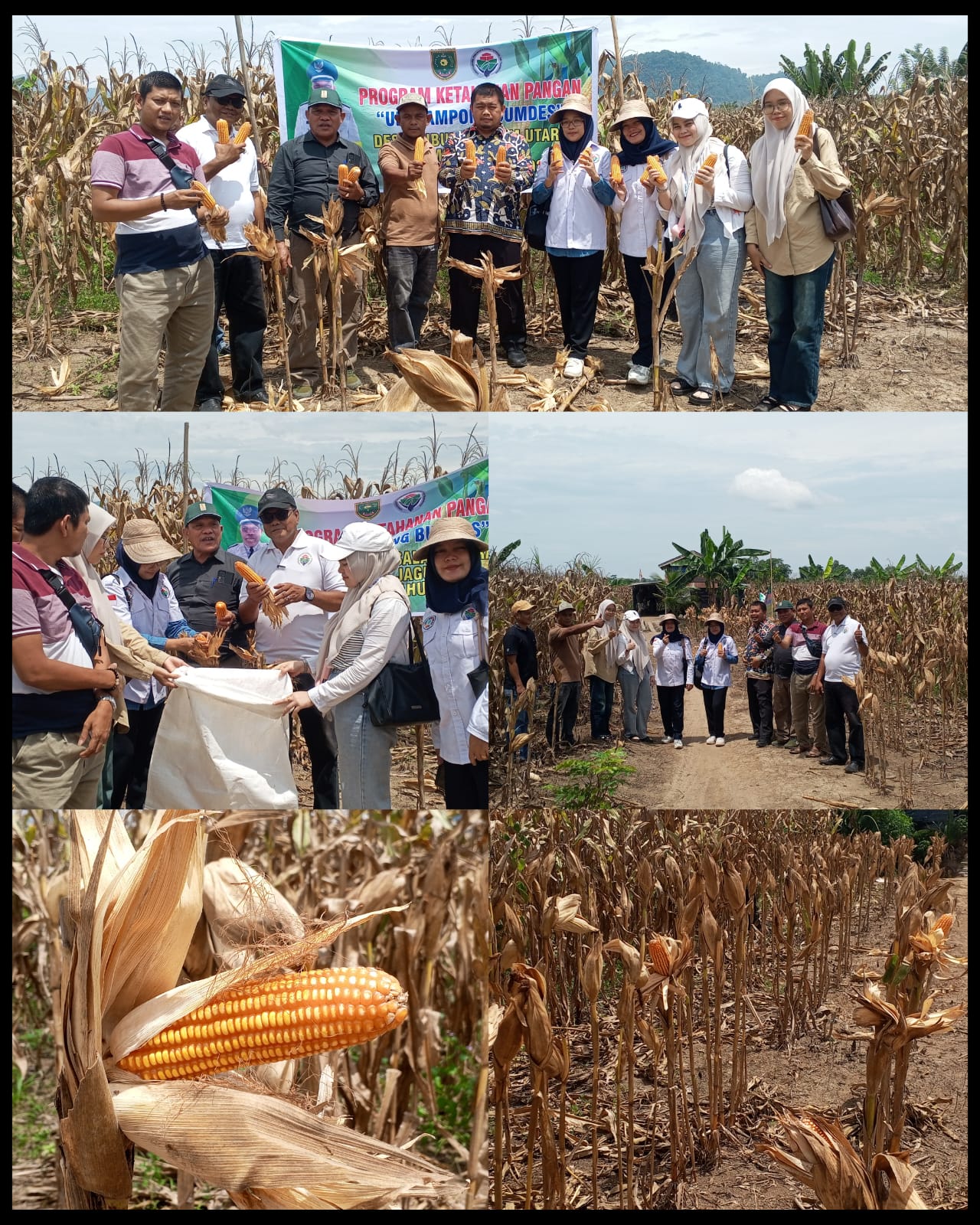 H. Durasa Lembong, Kepala Desa Subulussalam Utara, Berkomitmen Di Bidang Ketahanan Pangan
