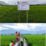 Proyek P3-TGAI Bukan Sekedar Bangun Irigasi, Tapi Juga Harapan Petani di Aceh Tenggara