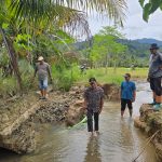 Tinjau Sawah Warga di Kluet Tengah Pasca Banjir, PLT Bupati Aceh Selatan Pastikan Penanganan Secara Konkret dan Berkelanjutan