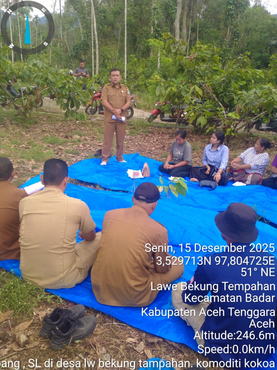 Dinas Pertanian Aceh Tenggara Programkan Budidaya Kakao Berkelanjutan