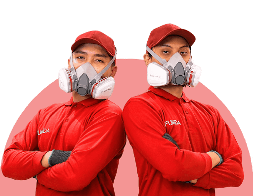 Waspada Serangan Rayap di Jakarta, Ini Solusi Perlindungan Bangunan yang Tepat